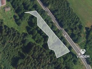 Prodej lesa, Loužnice, 2327 m2