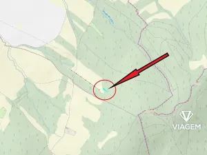 Prodej lesa, Vlachovice, 659 m2