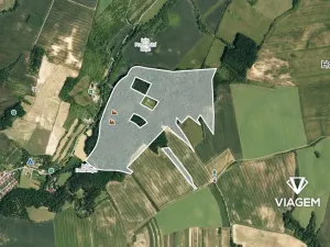 Prodej podílu lesa, Žeravice, 11303 m2