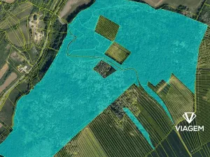 Prodej podílu lesa, Žeravice, 11303 m2