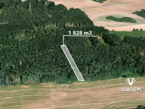 Prodej lesa, Hradiště, 1828 m2