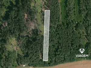 Prodej lesa, Hradiště, 1828 m2