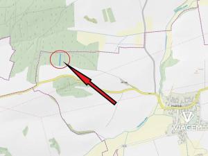 Prodej lesa, Hradiště, 1828 m2