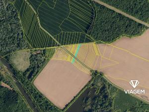 Prodej podílu pole, Choryně, 1131 m2