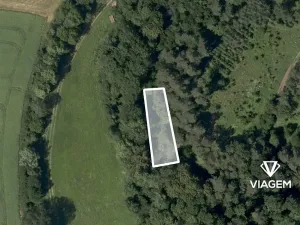 Prodej lesa, Letovice, 364 m2