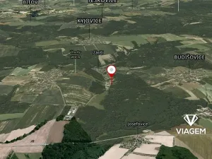 Prodej lesa, Horní Lhota, 9071 m2