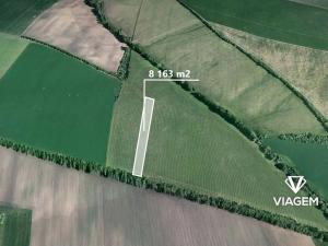 Prodej pole, Šumice, 8163 m2