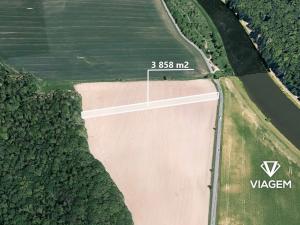 Prodej podílu lesa, Bělov, 964 m2