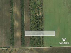 Prodej podílu pole, Hrušky, 1002 m2