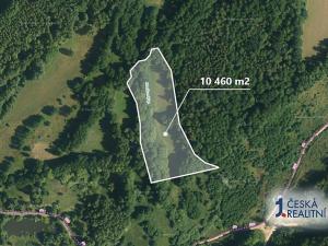 Prodej louky, Sokolov, 10460 m2