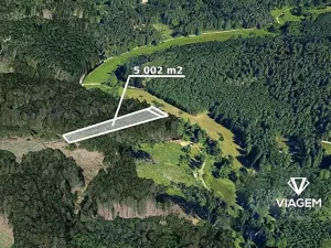 Prodej podílu lesa, Baliny, 3334 m2