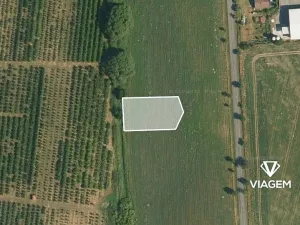 Prodej pole, Choltice, 1224 m2