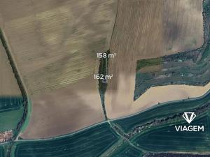 Prodej lesa, Syrovín, 320 m2