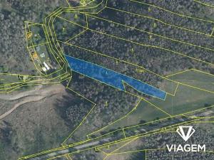 Prodej lesa, Slavičky, 3165 m2