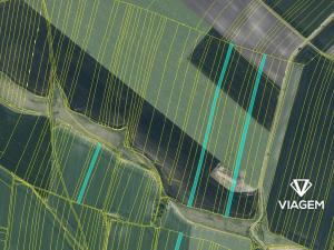 Prodej podílu pole, Křesín, 1622 m2