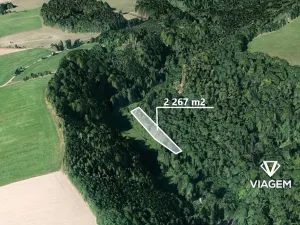 Prodej podílu lesa, Liberk, 1889 m2