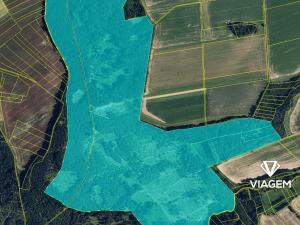 Prodej podílu lesa, Palonín, 94082 m2