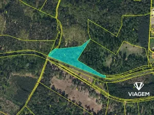 Prodej podílu lesa, Dašice, 3483 m2