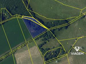 Prodej louky, Ždírec nad Doubravou, 6169 m2