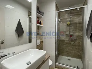 Pronájem bytu 2+1, České Budějovice, J. Plachty, 49 m2