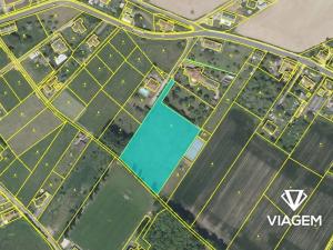 Prodej podílu pole, Bílá Třemešná, 1937 m2