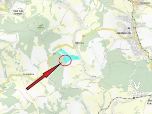 Prodej podílu lesa, Mříčná, 3898 m2