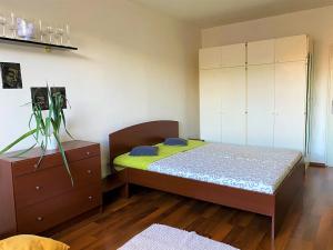 Pronájem bytu 1+1, Brno, Horácké náměstí, 49 m2