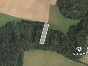 Prodej podílu lesa, Bílá, 1141 m2