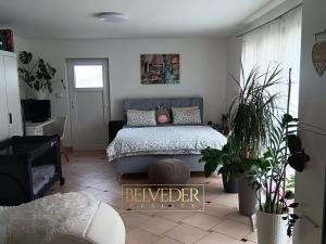 Pronájem bytu 3+kk, Teplice, Emilie Dvořákové, 95 m2