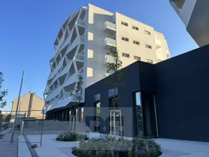 Pronájem kanceláře, Brno, Komárovská, 50 m2