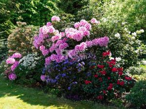 Prodej rodinného domu, Ostrava, Turgeněvova, 243 m2