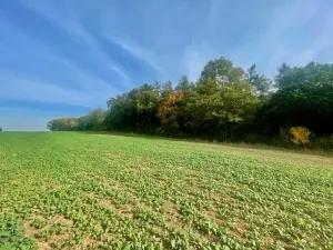 Prodej pole, Praha - Liboc, Na Padesátníku I, 24066 m2