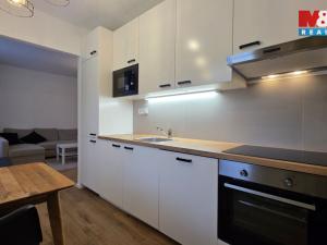 Pronájem bytu 1+1, Karlovy Vary, Palackého náměstí, 30 m2