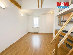 Prodej bytu 1+1, Praha - Žižkov, Vlkova, 55 m2