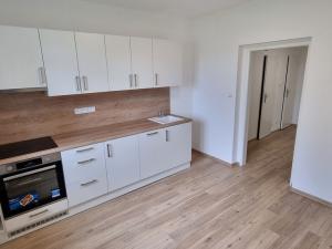 Pronájem bytu 1+1, Břeclav, U Jánského dvora, 46 m2