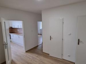 Pronájem bytu 1+1, Břeclav, U Jánského dvora, 46 m2