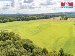 Prodej pole, Přimda - Mlýnec, 238031 m2