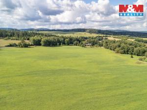 Prodej pole, Přimda - Mlýnec, 238031 m2