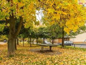 Prodej bytu 3+1, Brandýs nad Labem-Stará Boleslav, Brázdimská, 86 m2