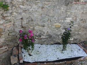 Prodej rodinného domu, Černčice, Žižkova, 65 m2