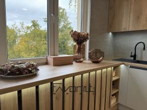 Prodej bytu 4+kk, Ostrava, Svornosti, 74 m2