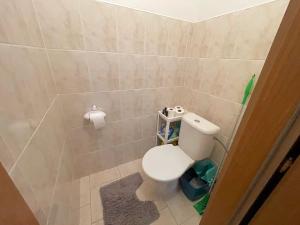 Pronájem bytu 5+kk, Brandýs nad Labem-Stará Boleslav, 120 m2