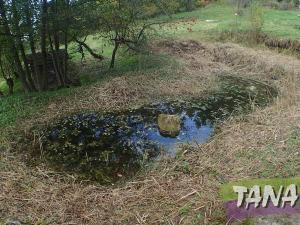 Prodej pozemku pro bydlení, Koberovy, 9985 m2