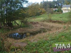 Prodej pozemku pro bydlení, Koberovy, 9985 m2