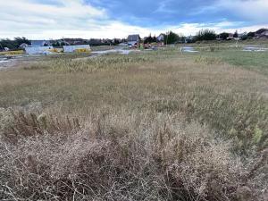 Dražba pozemku, Živanice, 2620 m2