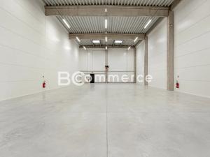 Pronájem skladu, Brno, Vinohradská, 446 m2