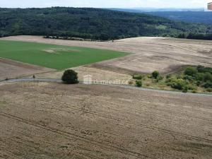 Prodej pozemku, Sýkořice, 3943 m2