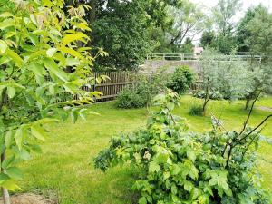 Prodej vícegeneračního domu, Otovice, 200 m2