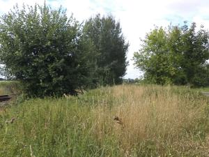 Dražba pozemku pro bydlení, Dobrovíz, 1547 m2