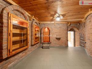 Prodej obchodního prostoru, Mladá Boleslav, Viničná, 107 m2